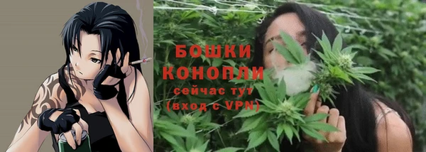 шишки Осинники
