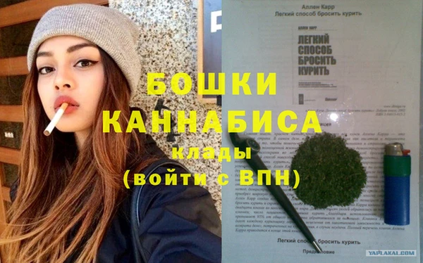 шишки Осинники