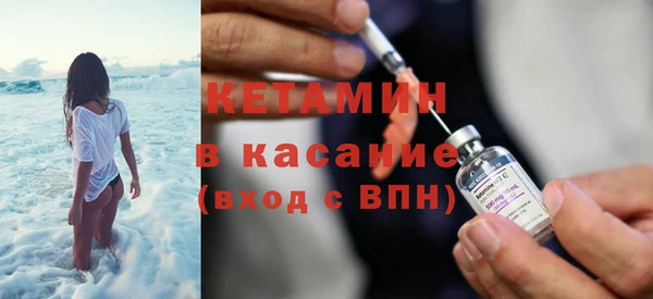шишки Осинники