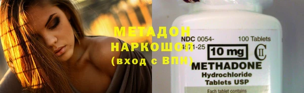 шишки Осинники