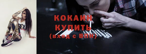 шишки Осинники
