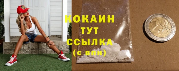 шишки Осинники