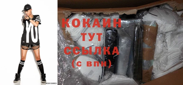 шишки Осинники